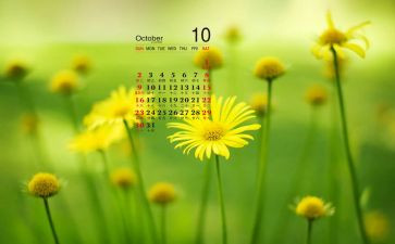 办公室10月总结报告5篇