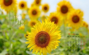 幼儿园10月份的周工作总结7篇