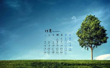 学生12月总结5篇