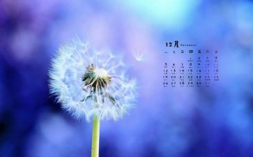 中班12月份工作总结5篇