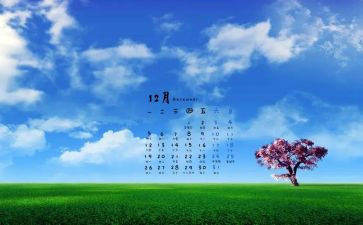 2024年12月转正申请书6篇