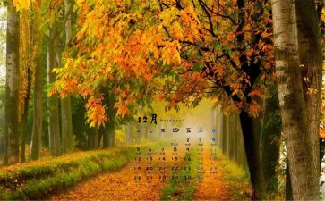 12月教育心得8篇