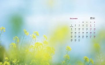 12月工作计划总结8篇