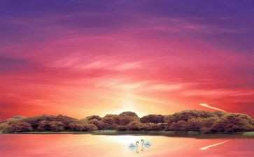 幼儿园大班1月教师总结5篇