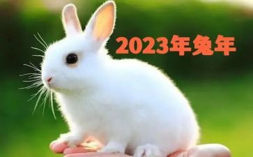 2023年医院年度工作总结精选5篇