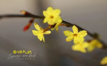2月工作计划参考5篇