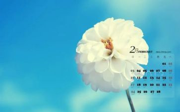 2月份的工作总结6篇