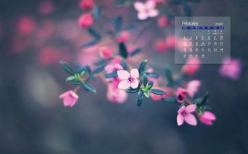 2月份的工作总结模板5篇