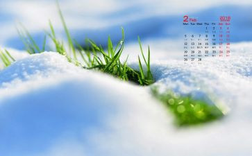 保安2月份工作计划5篇