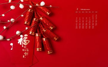 护士2月工作计划5篇