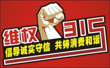 315调查报告模板8篇