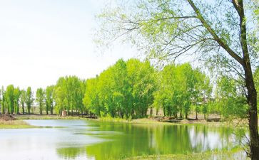 3月份教师总结5篇