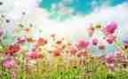 2024年3月～6月团工作计划5篇
