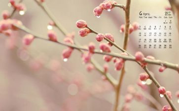 4月的工作总结优质5篇