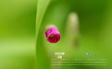 幼儿园大班4月份月总结7篇