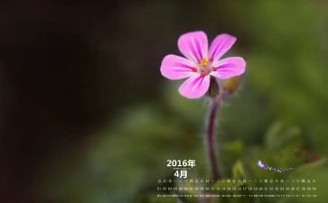 4月份党日心得体会7篇