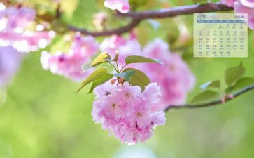 4月份销售工作总结5篇