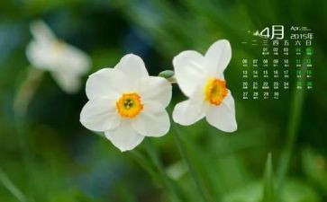 幼儿园中班4月份工作总结5篇