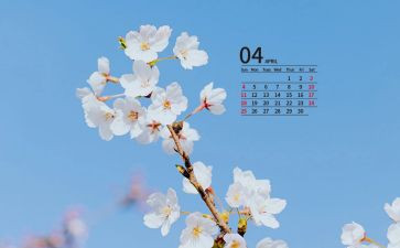 大班4月份工作计划7篇