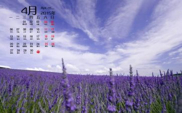 4月工作总结及计划范文6篇