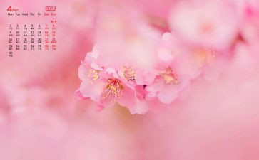 中班4月份工作总结8篇