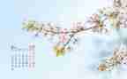 4月份中班工作计划7篇
