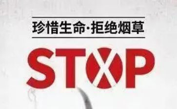 531活动心得体会参考7篇