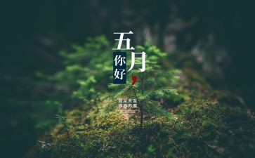 中班5月份教师工作总结8篇
