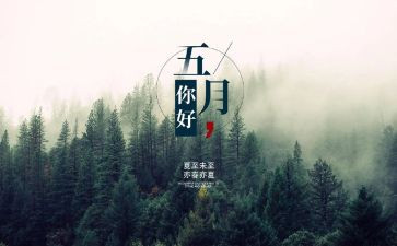 5月系列活动方案8篇
