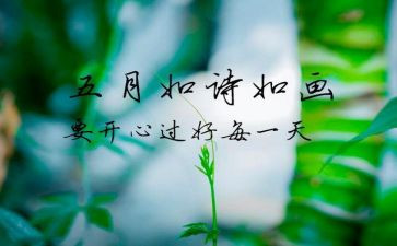 小班5月份教师工作总结7篇