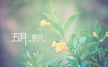 幼儿园5月份园长工作总结7篇
