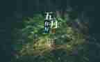 2024年幼儿园小班5月份工作总结8篇