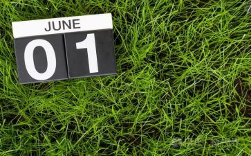 6月护理工作计划8篇