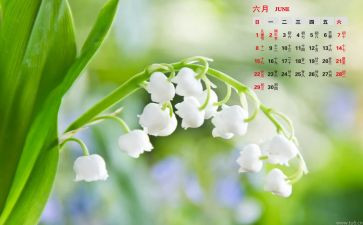 幼儿大班6月份工作总结7篇