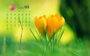 6月是安全生产月演讲稿5篇
