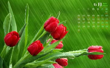 6月23心得体会7篇