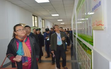 863计划心得体会通用5篇