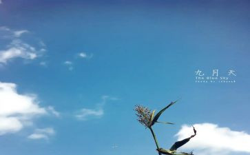 9月酒店工作总结5篇