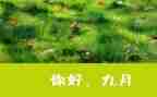 幼儿园中班9月份工作计划6篇
