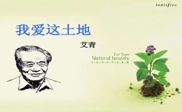 艾青树读后感精选6篇