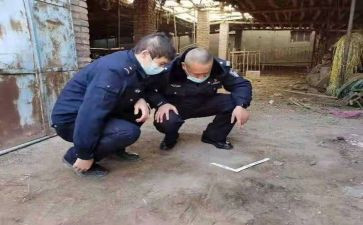 学校档案管理工作总结6篇