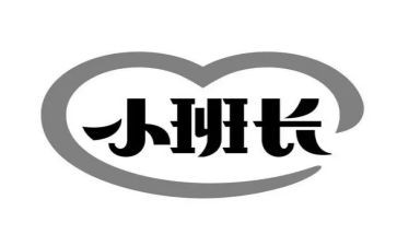 2024班长半年工作总结6篇