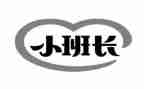 2024班长半年工作总结6篇