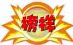 榜样体会心得体会优质6篇