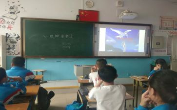 小学班会课活动方案5篇