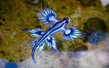 初中生物教师个人总结6篇