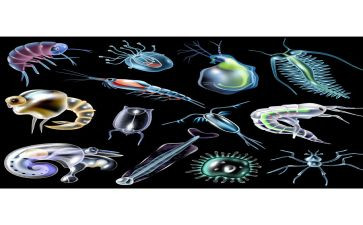 高中生物学期教学总结5篇