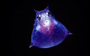 高中生物教学心得体会5篇