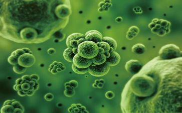 初中生物教师年度个人总结7篇