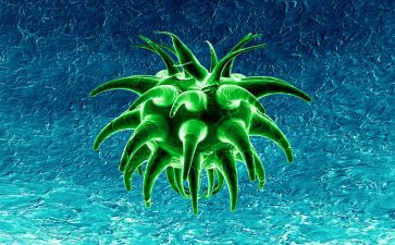 生物高二下学期教学计划8篇